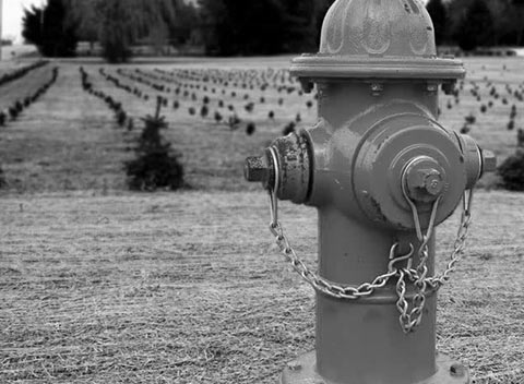 卡密市场批发的网络ddos攻击软件